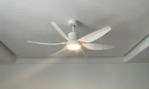 Bốn mẫu quạt trần tiết kiệm điện